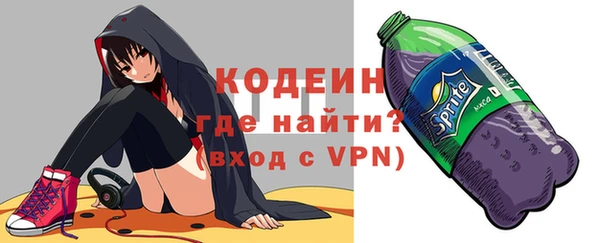 первитин Гусев