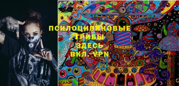 Альфа ПВП Медвежьегорск