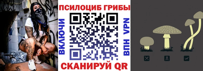 Псилоцибиновые грибы прущие грибы  купить   Долинск 